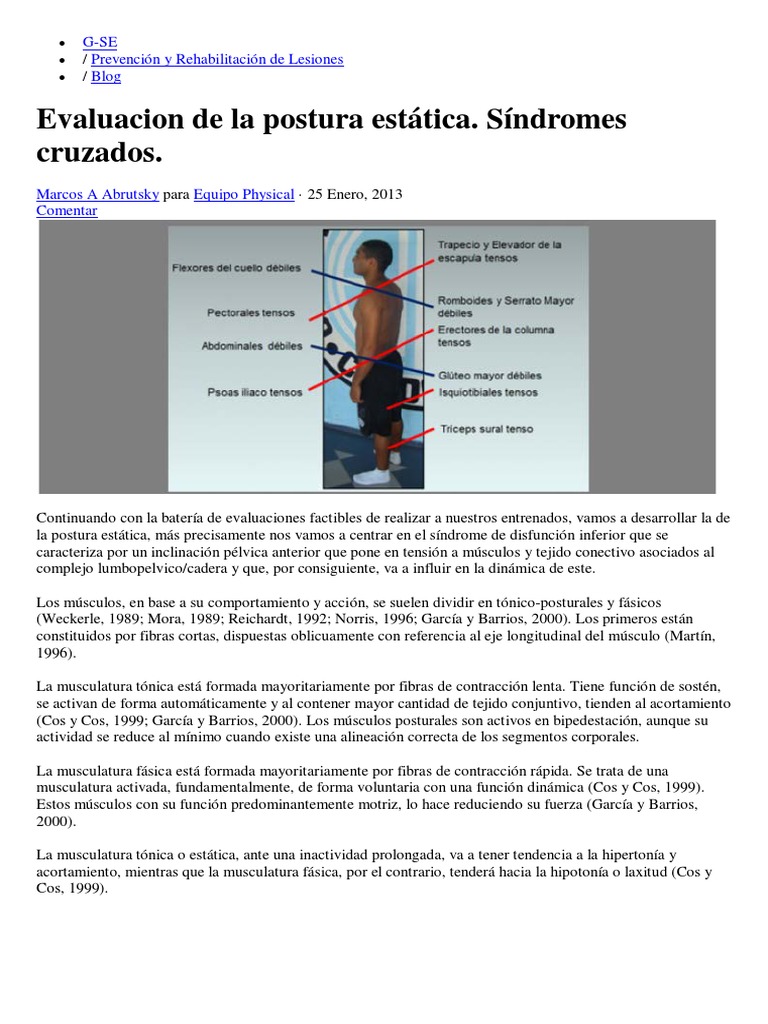 Evaluación Postural y Síndromes Cruzados | PDF | Relaciones personales ...