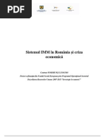 Sistemul IMM in Romania
