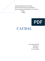 caudaldetellooo-130703183106-phpapp01.docx