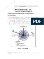 3.Cap 1_Firma Si Organizatia