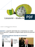 Lizozomii