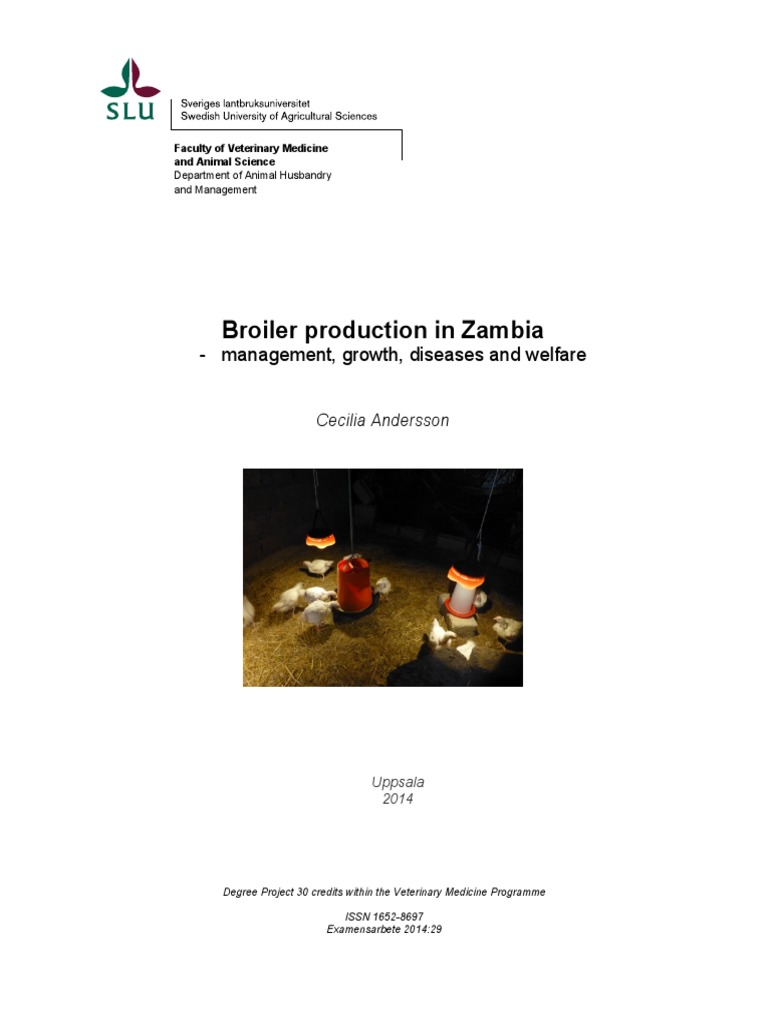 Broiler Production in Zambia PDF Poultry Farming Broiler