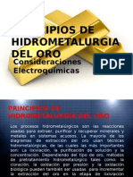 Principios de Hidrometalurgia Del Oro