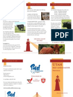 ubap brochure final pdf 