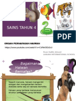 Organ Pernafasan Haiwan Tahun 4