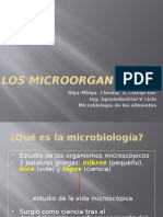 Los Microorganismos