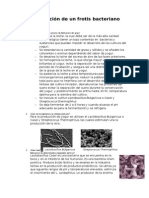 Preparación de Un Frotis Bacteriano