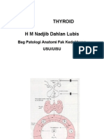 Thyroid H M Nadjib Dahlan Lubis: Bag Patologi Anatomi Fak Kedokteran Usu/Uisu