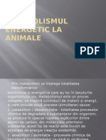 Metabolismul Energetic La Animale