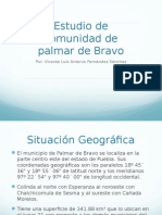 Palmar de Bravo