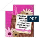 Plan de Trabajo Semana Peru Contra El Cancer