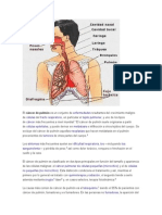 Pulmones