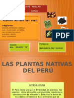 Diapositivas Plantas Nativas Del Perú