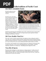article - virus killed millions of sea stars newsela