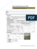 Ensayo Densidas Relativos de Finos