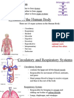 Systems of The Human Body: Organization