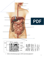 Which organ is NOT used for digestion