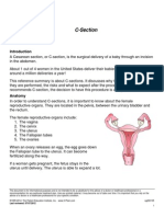 C-section - patient education.pdf