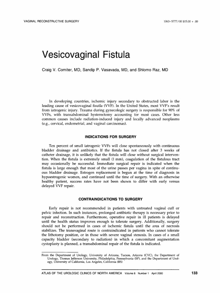 Vesicovaginal Fistula: Diagnosis and Repair | PDF | Vagina | Clinical ...