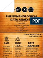 Phenomenological Data Analysis