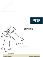 COPIHUE