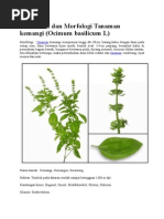 Download Klasifikasi Dan Morfologi Tanaman Kemangi by Kharnawi Rafi SN252821824 doc pdf
