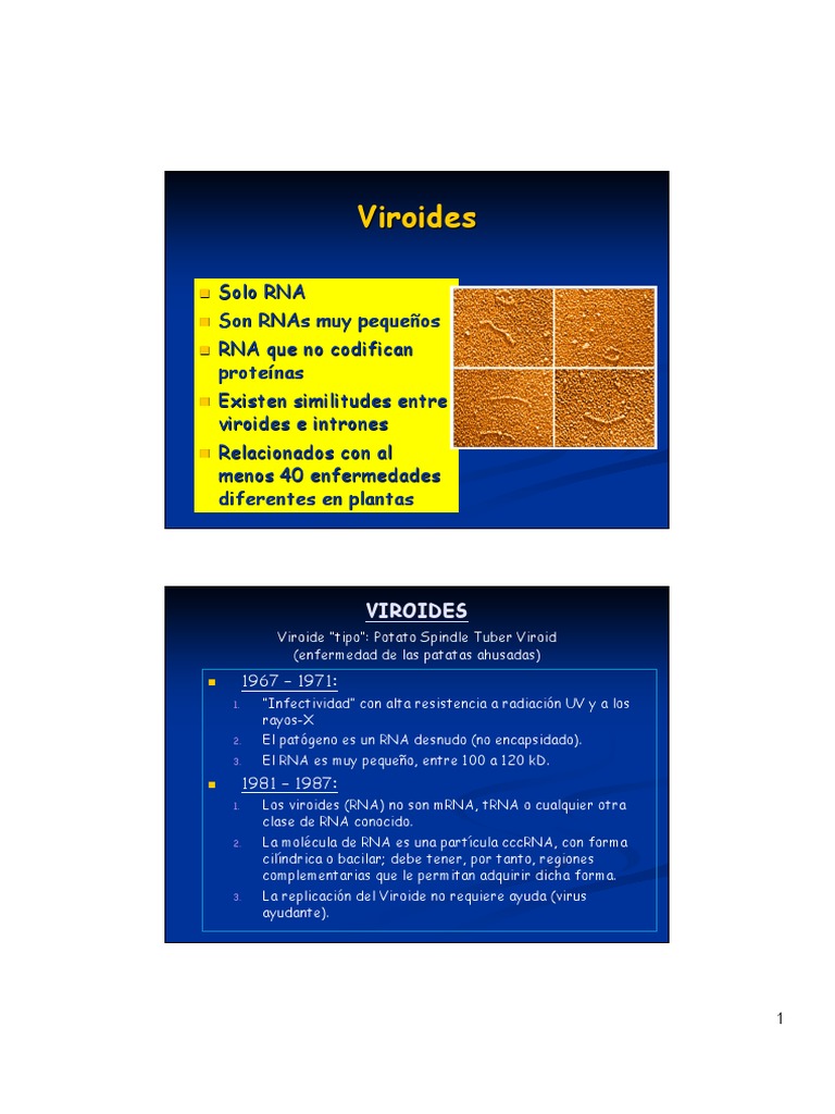 Viroides Tema 22 - Clasificacion de virus. Actividad riboenzimática ...