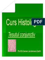 Curs 5 Tesut Conjunctiv Histo