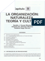 La Organización: Naturaleza, Teoría y Cultura.
