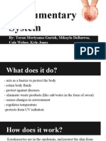 integumentary system