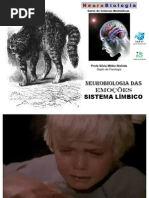 Sistema Limbico Silvia