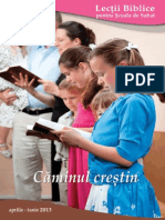 2013-2 Caminul Crestin.pdf