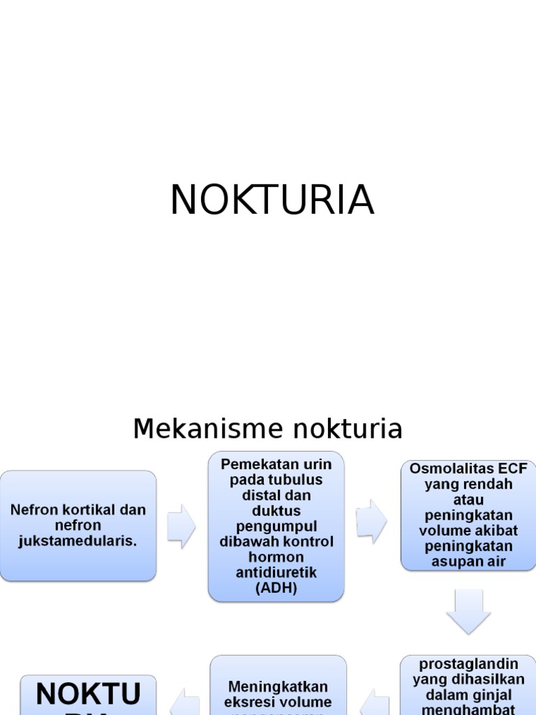 Mekanisme dan Patofisiologi Nokturia | PDF