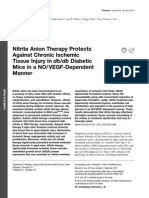 Nitrite Anion Therapy Protects Against Chronic Ischemic Tissue Injury in DB/DB Diabetic Mice in A NO/VEGF-Dependent Manner