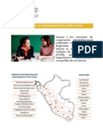 perfiles_y_regiones_COARv4.pdf