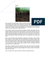 Tanah Humus (Tanah Loam) PDF