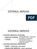Histologie-lp12 Tesutul Nervos 2