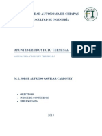 Apuntes Proy Terminal 2013 PDF