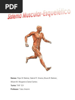 Sistema Músculo.pdf