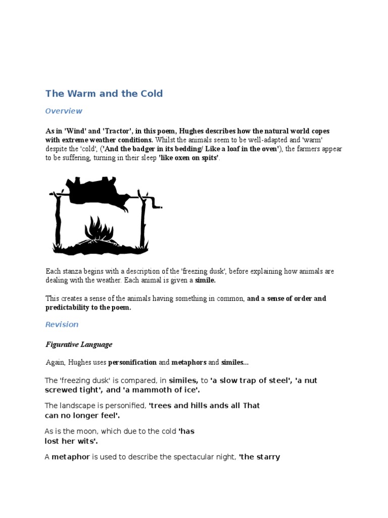 Ted Hughes The Warm and the Cold Metaphor Poetry