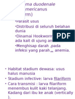 Ancylostoma duodenale.pptx