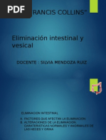 ELIMINACION INTESTINAL Y VESICAL.pptx