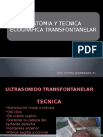 Anatomia y Tecnica Ecografica Transfontanelar