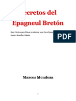 Secretos Del Epagneul Breton