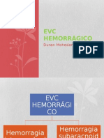 Evc Hemorrágico