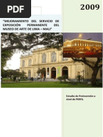 Proyecto Delmuseo de Arte Perfil_mali