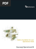 Operational BI Datasheet Gourangi 2010 - Bizsensors