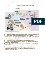 Reproduksi Basidiomycota