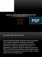 Bolile aparatuli reproducator