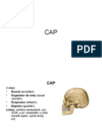 Cap PDF